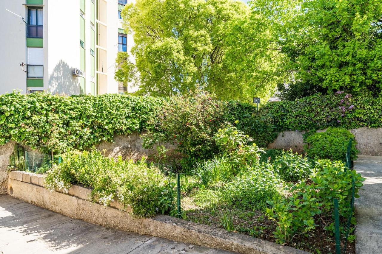 Apartment Kos Dubrovnik Ngoại thất bức ảnh
